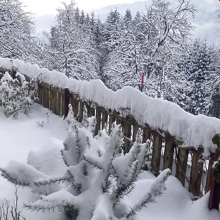 Hébergement de vacances With Balcony In The Holiday Home Waldhof Hermagor-Pressegger See